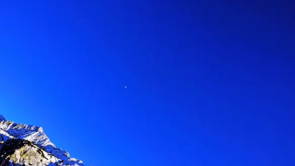 Casino Bet Rocker Ondersteuning